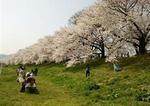 ^08BFB648DDD9C0C2605CC52335EC3E6F9D28C5A56E936BEFB3^pimgpsh_thumbnail_win_distr.jpg