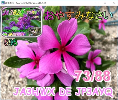 2019-09-16-2.jpg