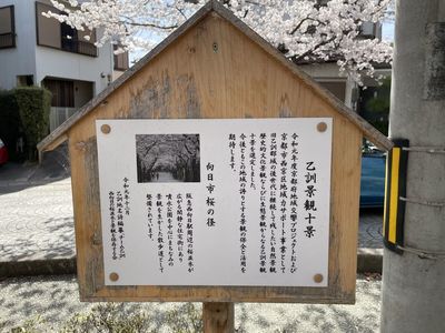 IMG_1821-min.jpg